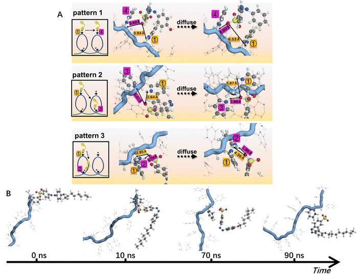 Supramolecular aggregation animation