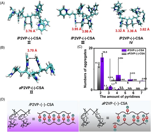 Poly(vinylpyridine) research visualization