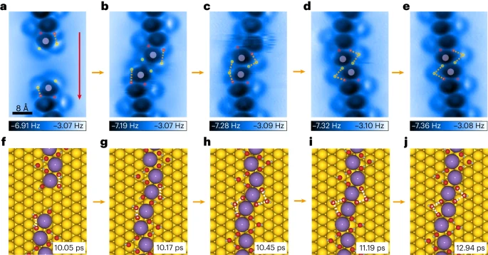 Interfacial alkali ion research visualization
