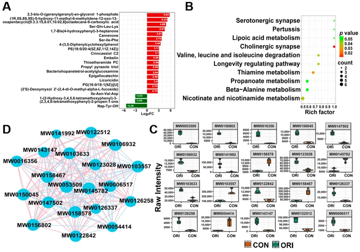 Multi-omics and Wnt beta-catenin signaling research visualization